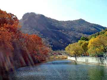 新澳天天开奖资料大全旅游团，海康视频服务器